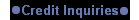 Credit Inquiries